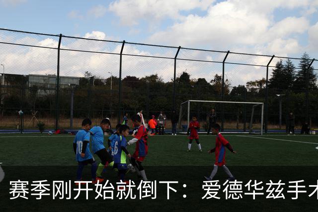 赛季刚开始就倒下：爱德华兹手术，雷霆两将同日重伤