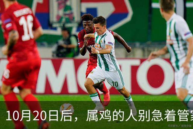 10月20日后，属鸡的人别急着管家里的事